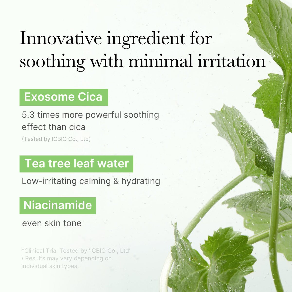 Exosome Cica Calming Toner Pads | Medicube